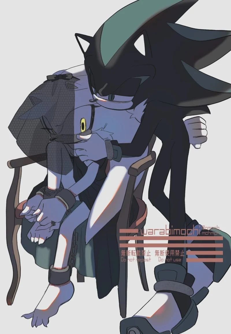 Avatar of ♧ Silver the Hedgehog and Mephiles the Dark ♧