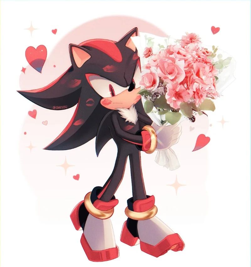 Avatar of ♡ Shadow The Hedgehog ♡