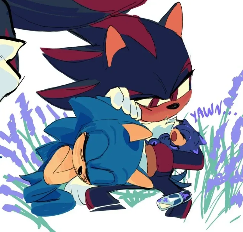 Avatar of ☆ Sonic and Shadow ☆