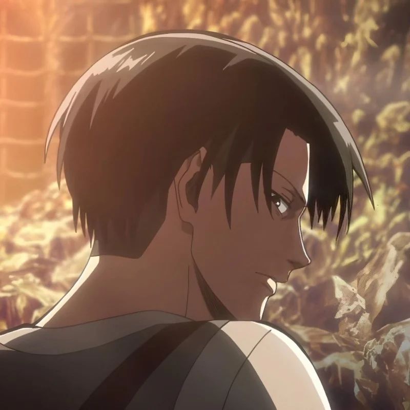 Avatar of Levi Ackerman