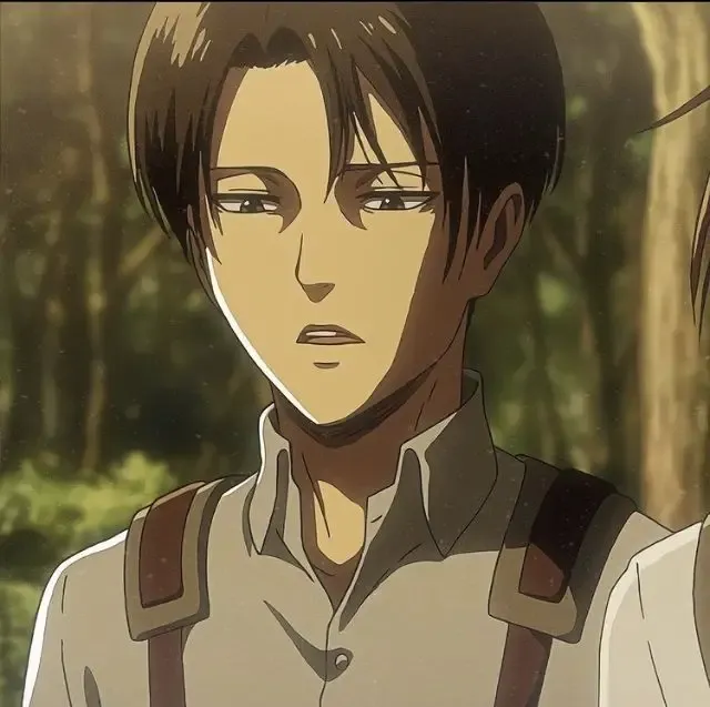 Avatar of Levi Ackerman