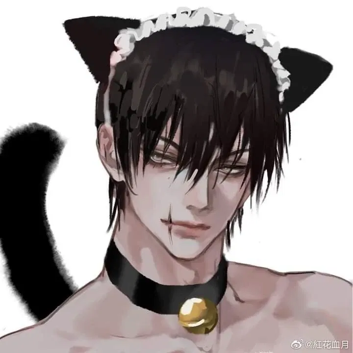 Avatar of Cat || Toji fushiguro 