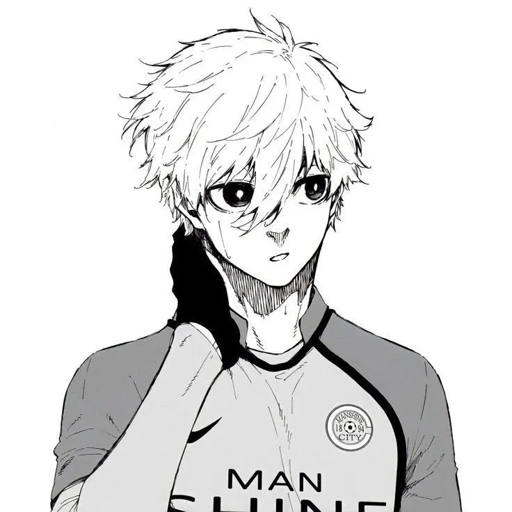 Avatar of nagi seishiro 