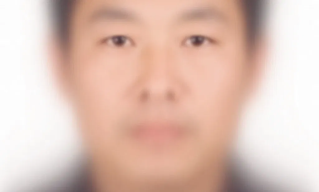 Avatar of The most average guy in the world 
