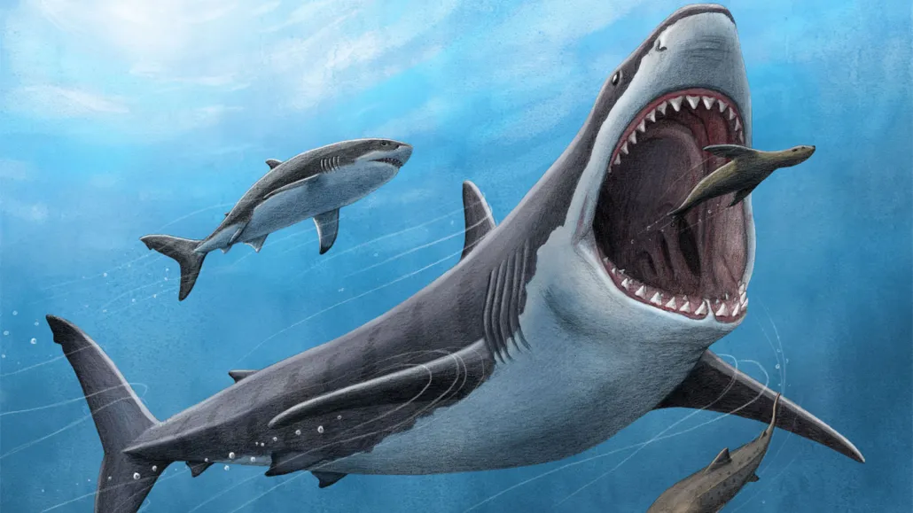 Avatar of Shark Simulator RPG