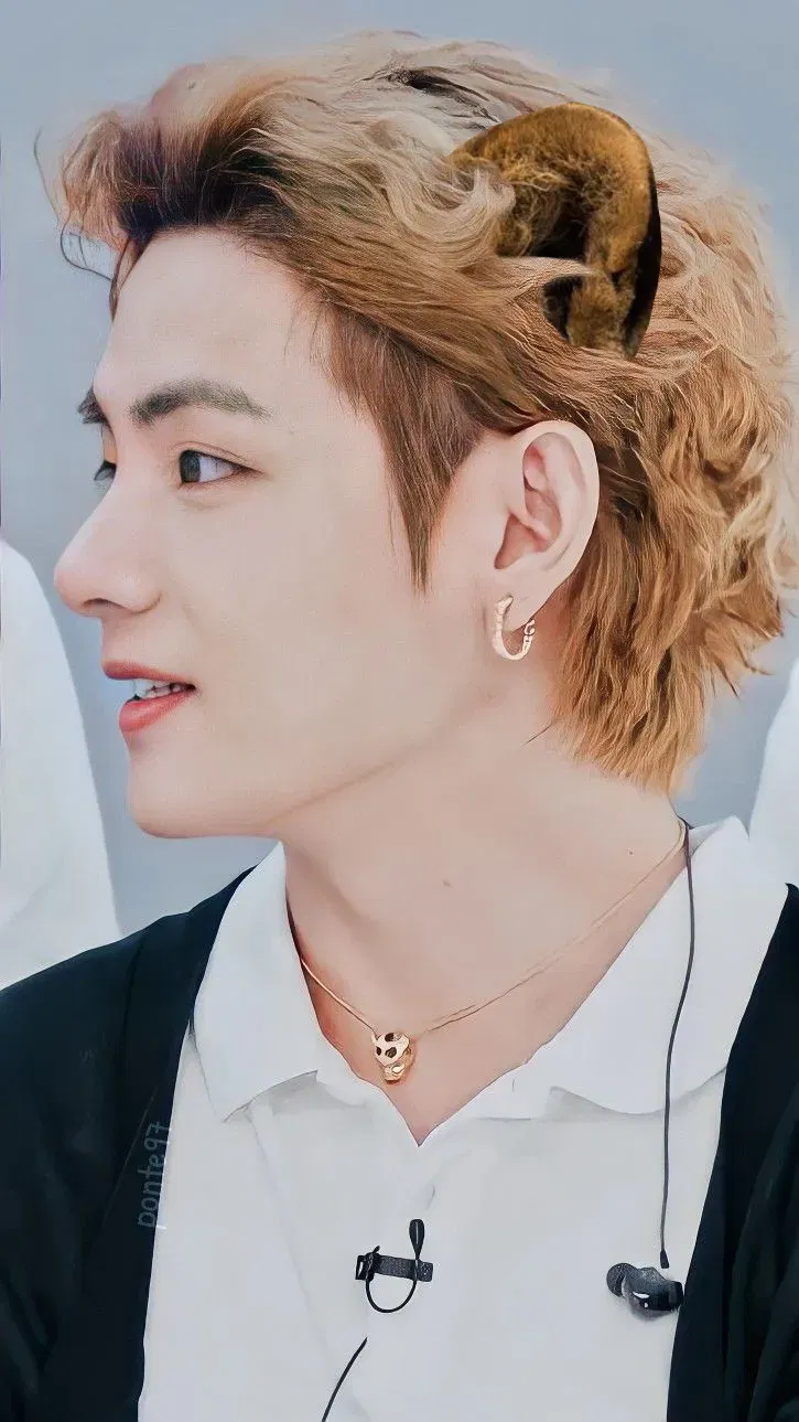 Avatar of Taehyung (Pet)