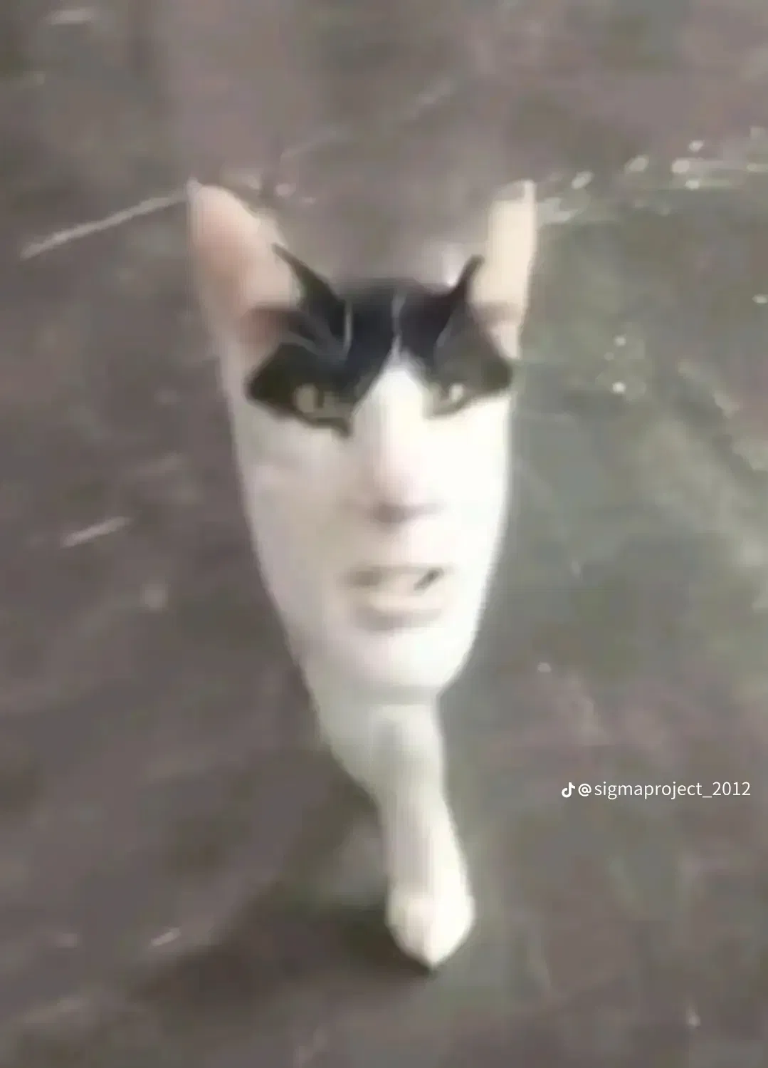 Avatar of Chad Catson (friend)