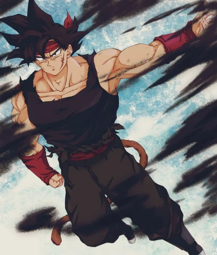 Avatar of Xeno Bardock (XV2 Mentor)
