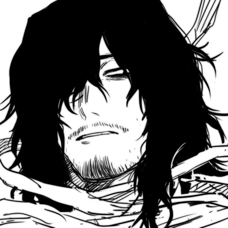 Avatar of Shota Aizawa