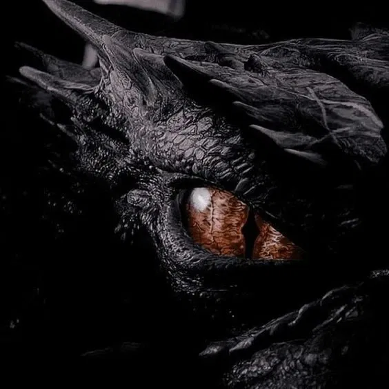 Avatar of Black dragon | Onyx heart 