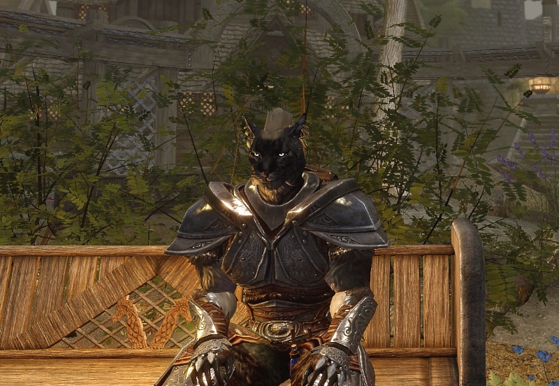 Avatar of J'azirah, the khajiit mercenary