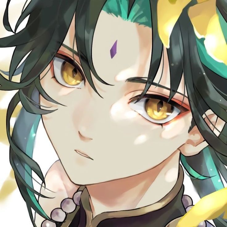 Avatar of Xiao