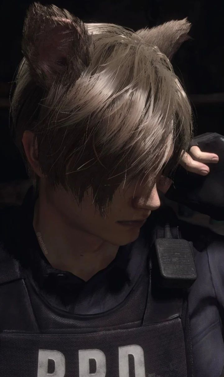Avatar of Leon kennedy