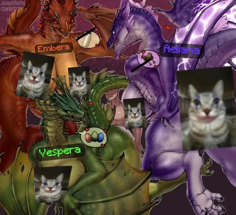 Avatar of Wyverns nest
