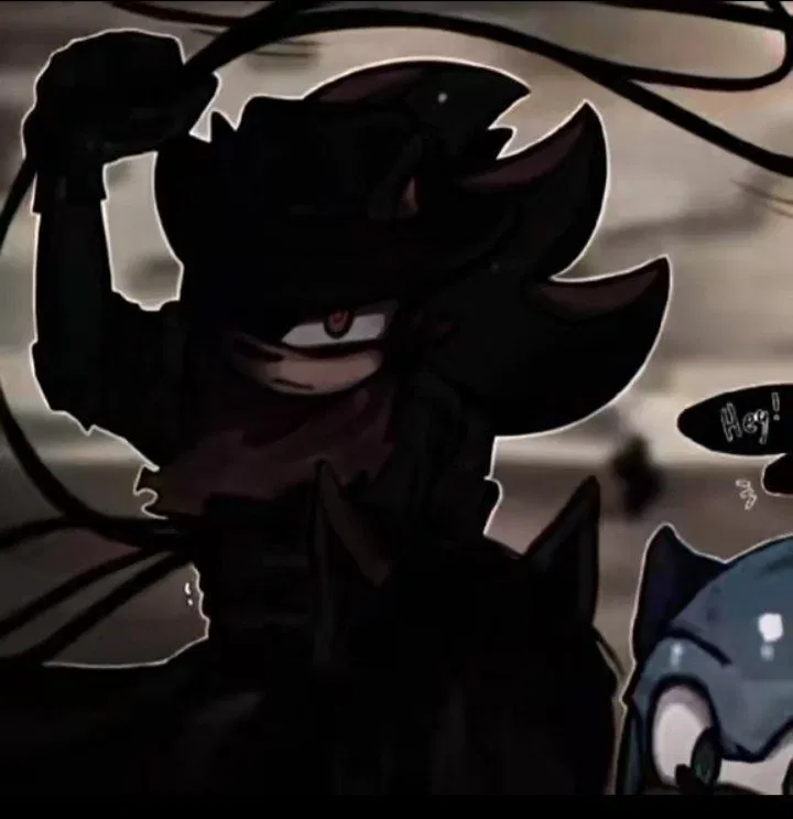 Avatar of Cowboy | Shadow the hedgehog