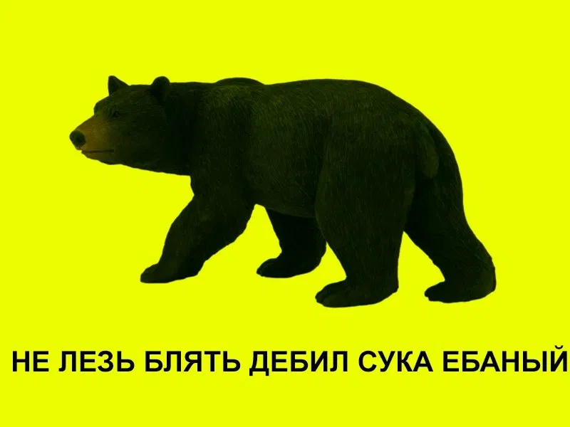 Avatar of Sasha Blin