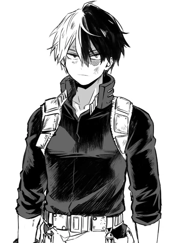 Avatar of Shoto Todoroki (Shoto) ❄️🔥 || My Hero Academia || MHA 