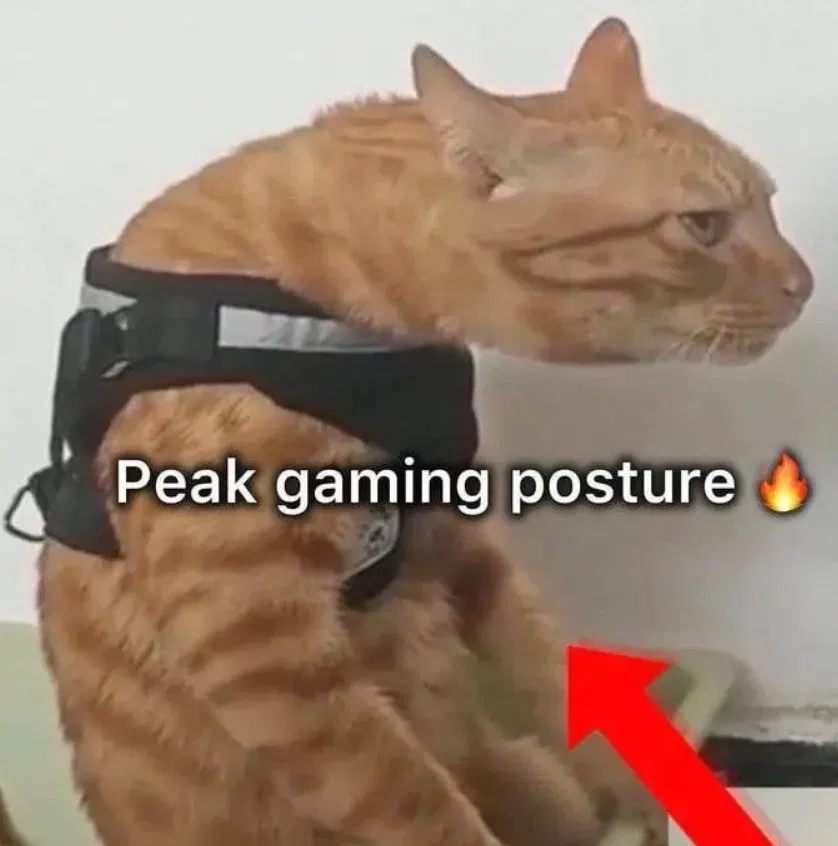 Avatar of What do YOU actually want?