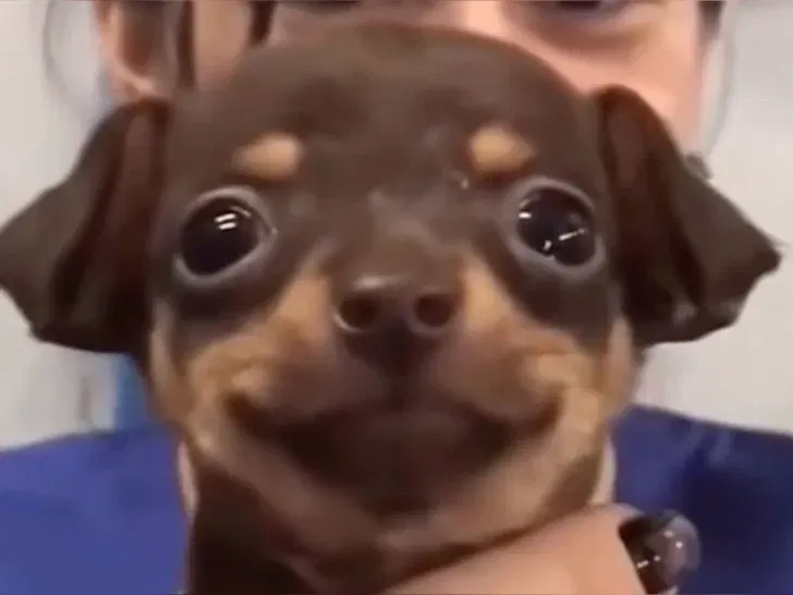 Avatar of I have a question for you guys