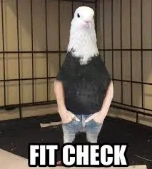 Avatar of fit check