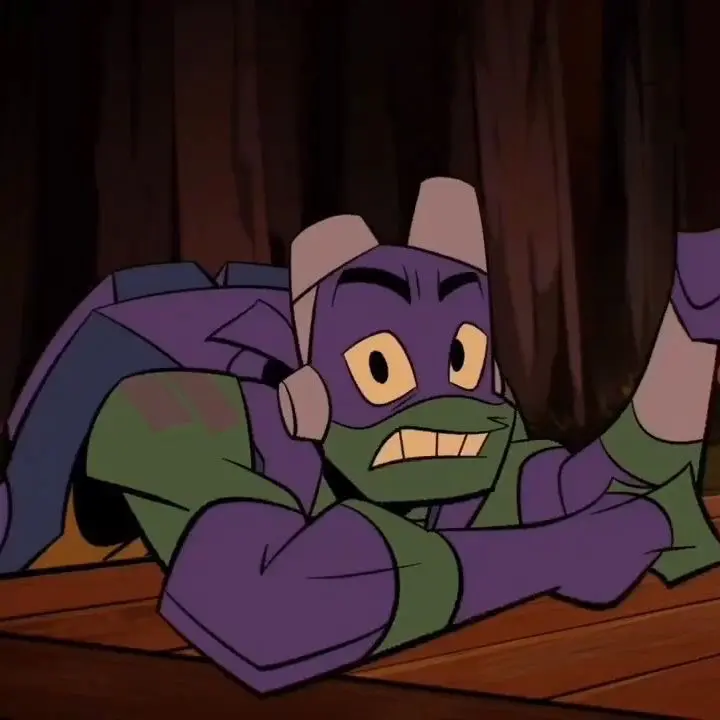 Avatar of Donatello [ROTTMNT]💜