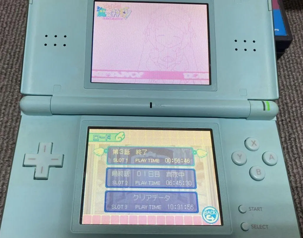 Avatar of DS Reality Shift