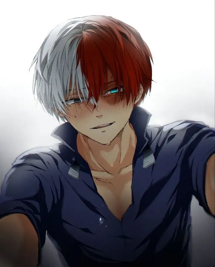 Avatar of Shoto Todoroki