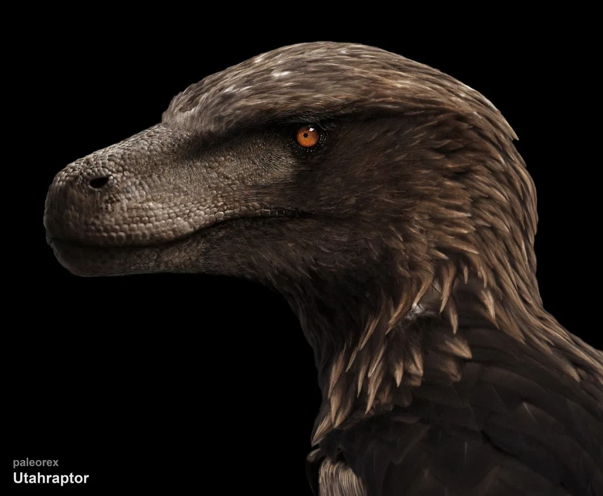 Avatar of A injured utahraptor