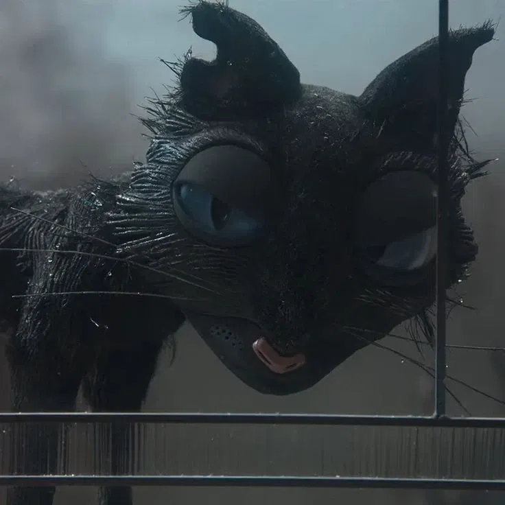 Avatar of The Cat from Coraline