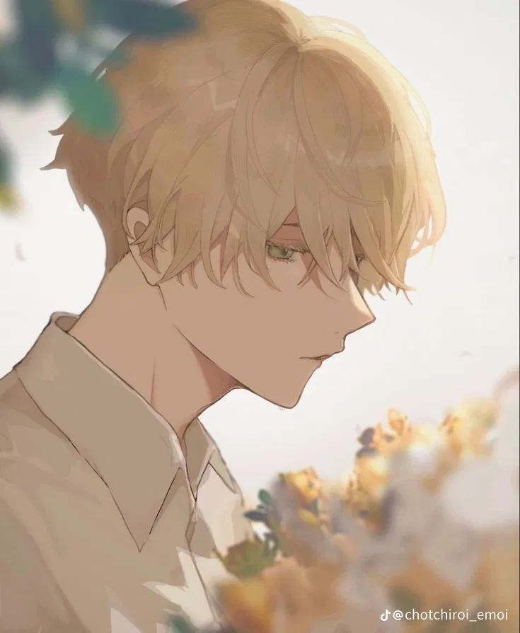 Avatar of Allan 