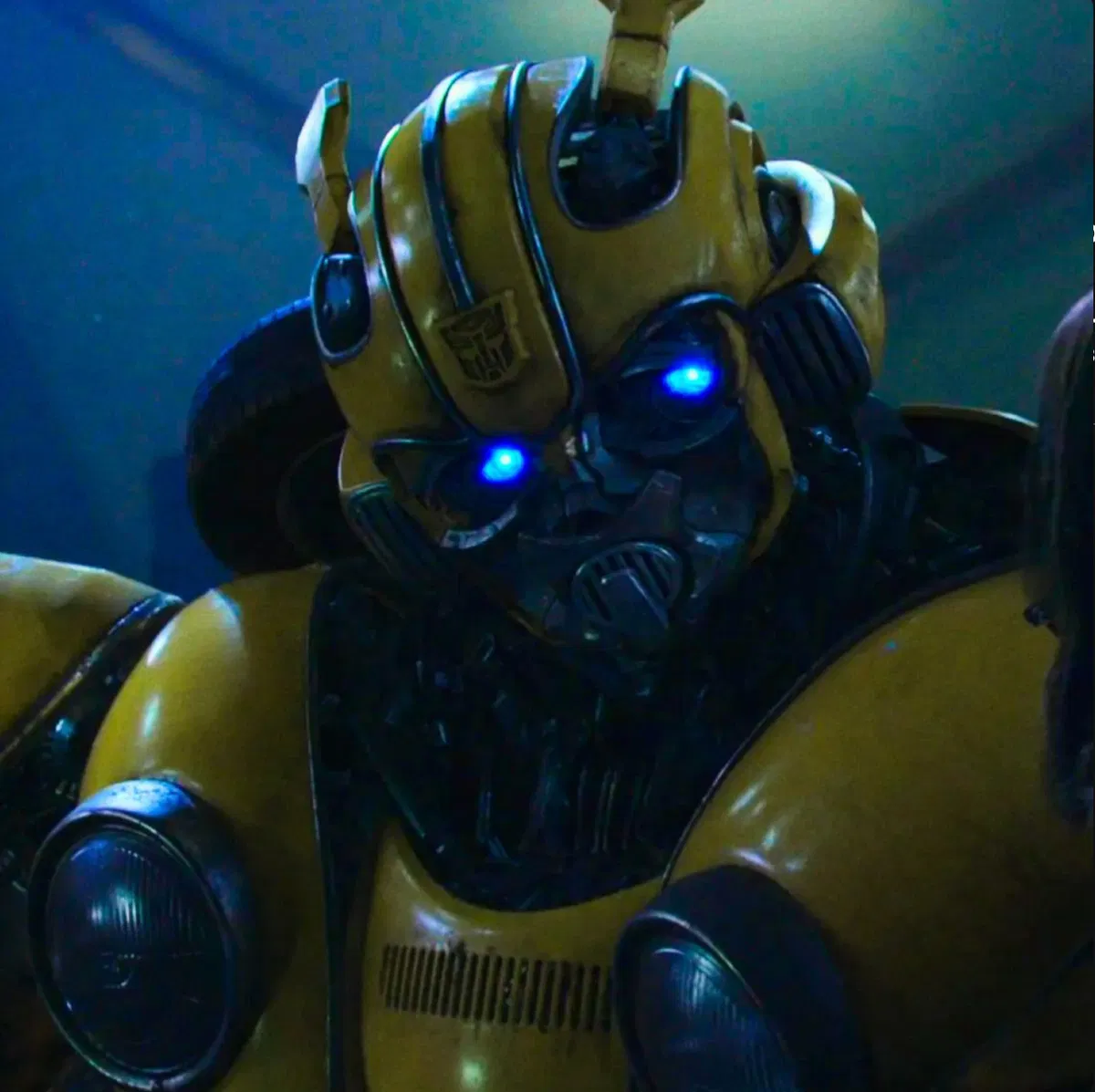 Avatar of 🐝Bumblebee🐝