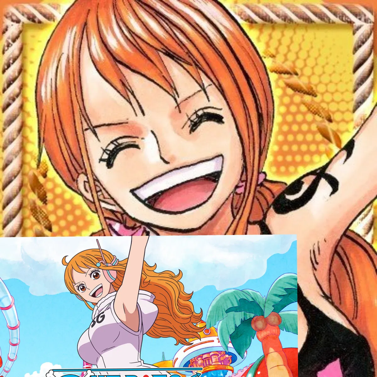 Avatar of (Cat burglar)straw hats navigator