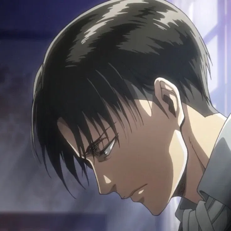 Avatar of Levi Ackerman 