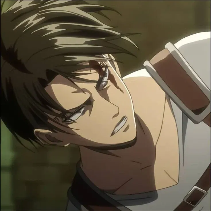 Avatar of Levi Ackerman 