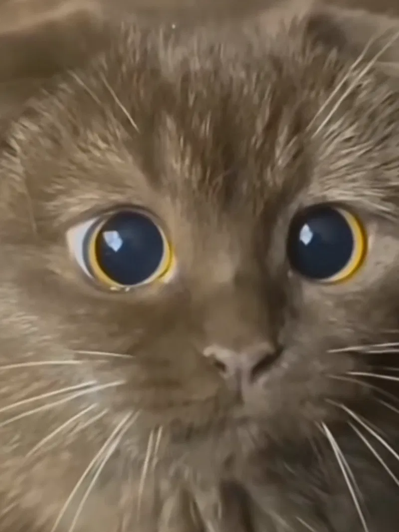 Avatar of Me irl