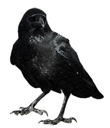 Avatar of mariana request bot