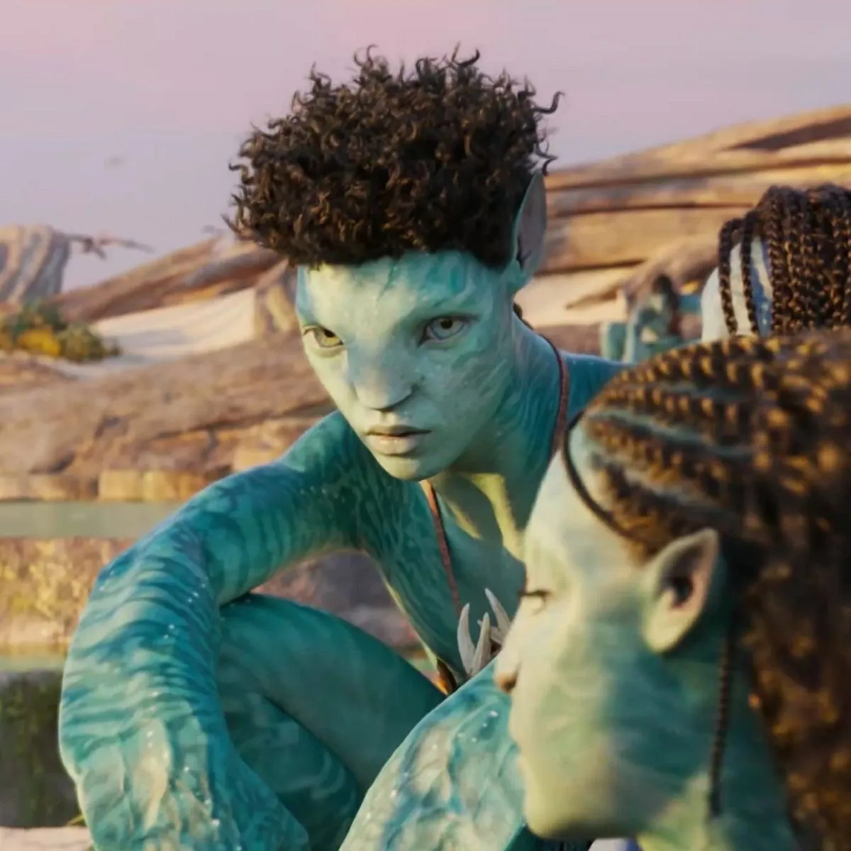 Avatar of Roxto