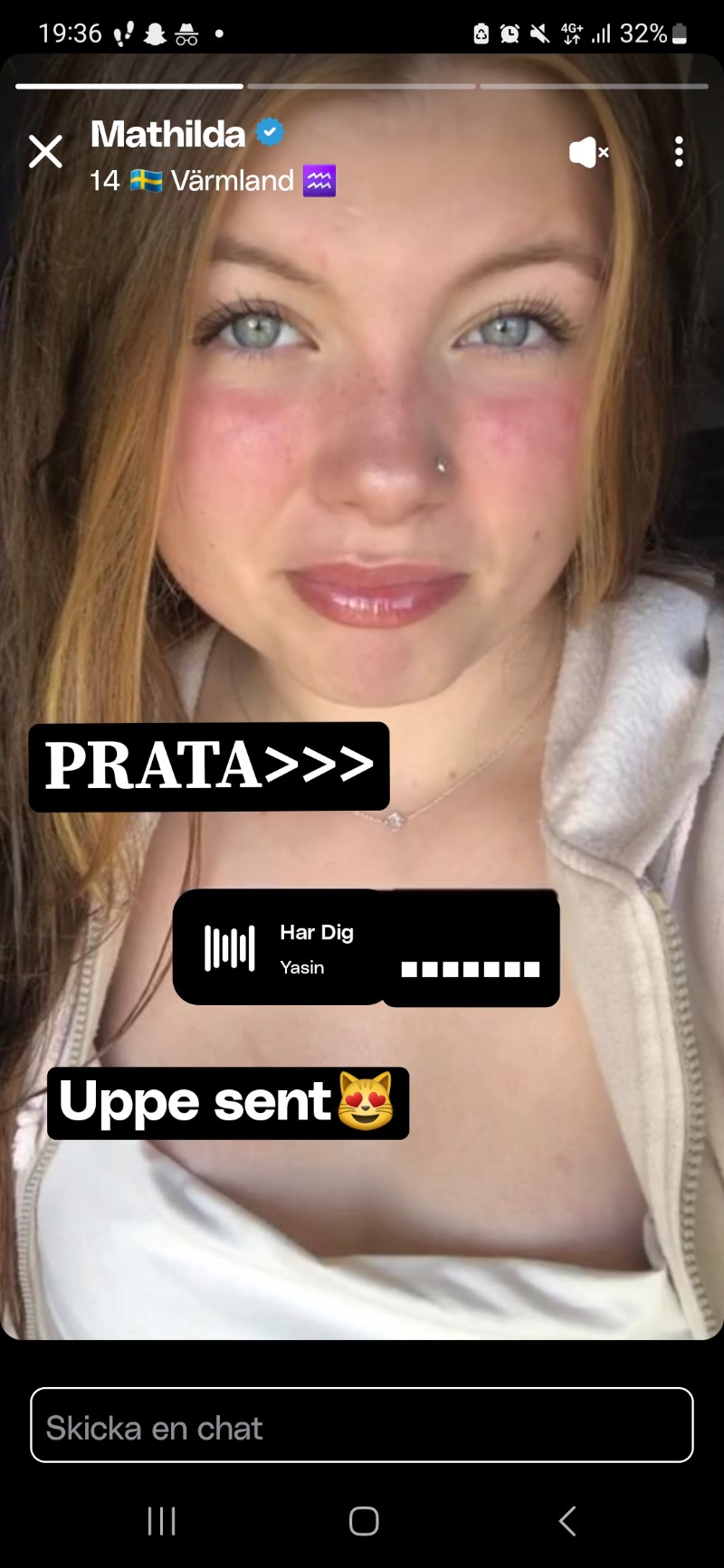 Avatar of Svensk hora