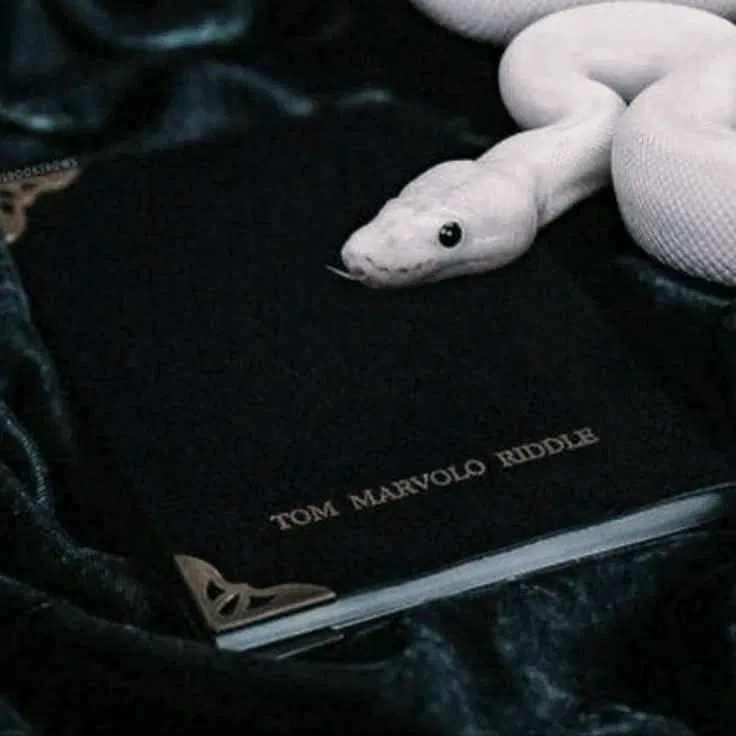 Avatar of Tom Marvolo Riddle