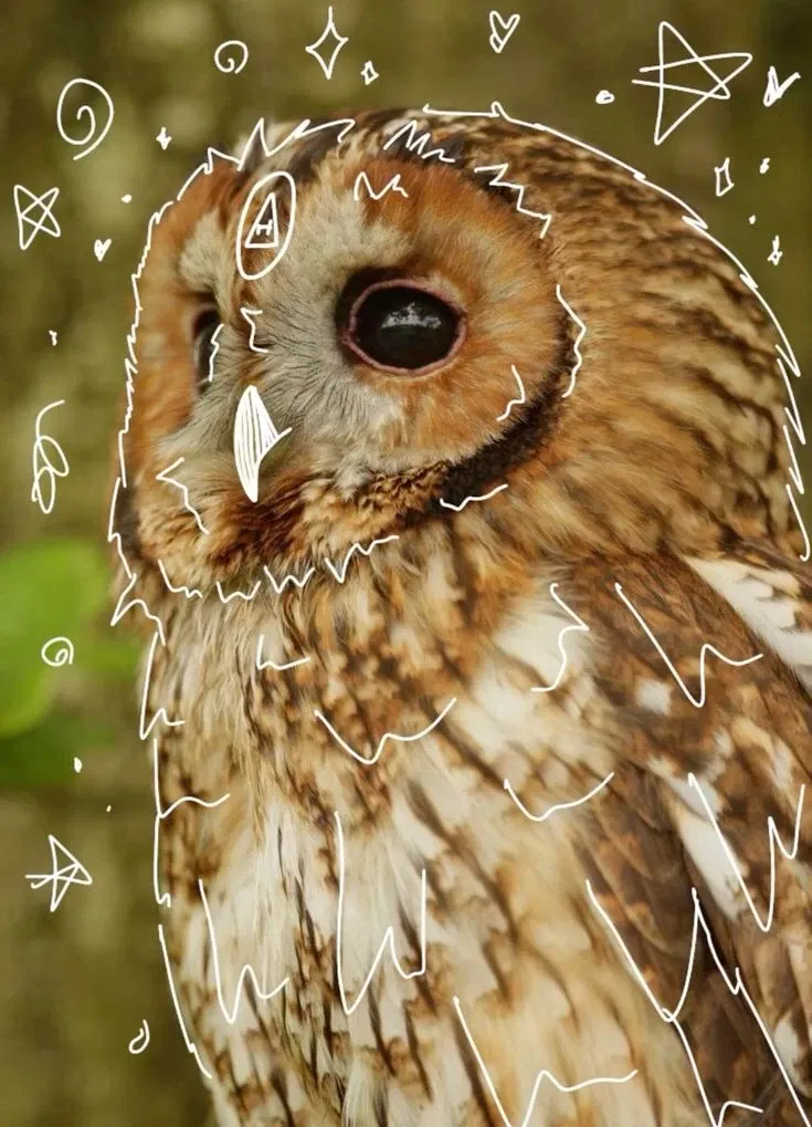 Avatar of Kiki - OWL THERIAN