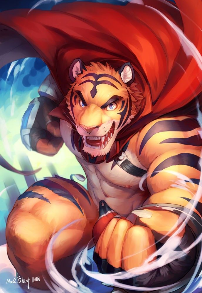 Avatar of Build Tiger