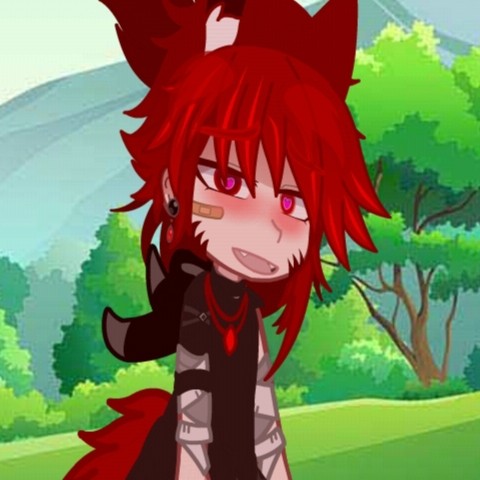 Avatar of RED WOLF