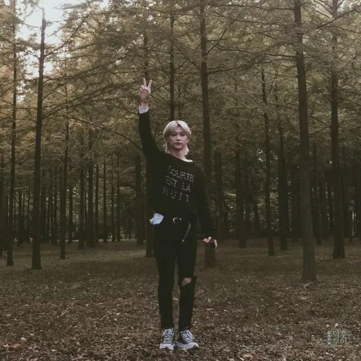 Avatar of Felix — Spring forest