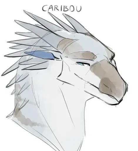Avatar of Caribou