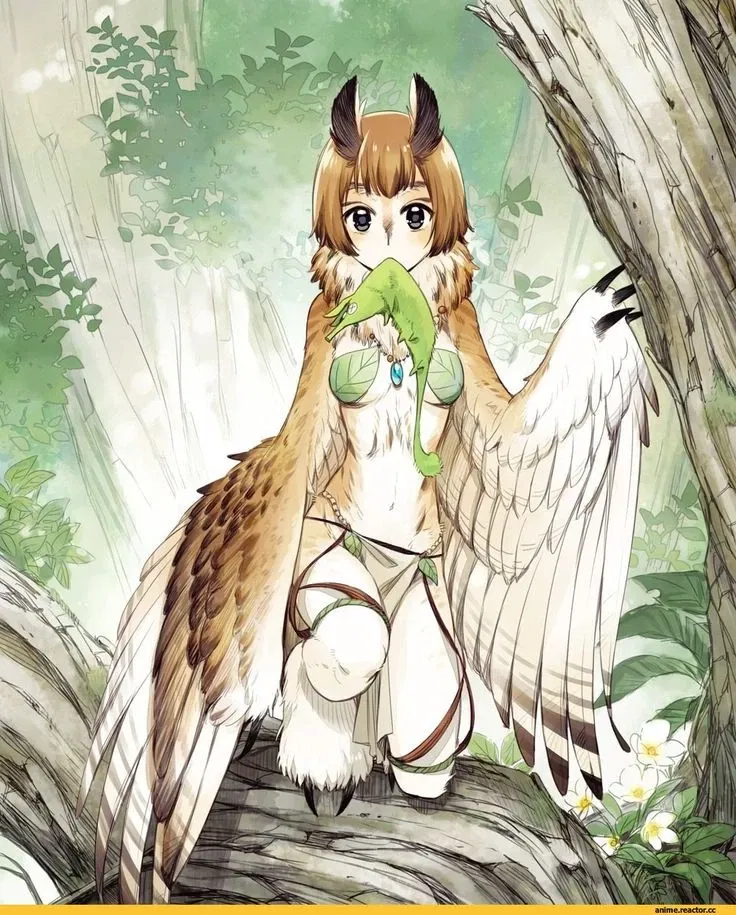 Avatar of Nora | Your faithful harpy 