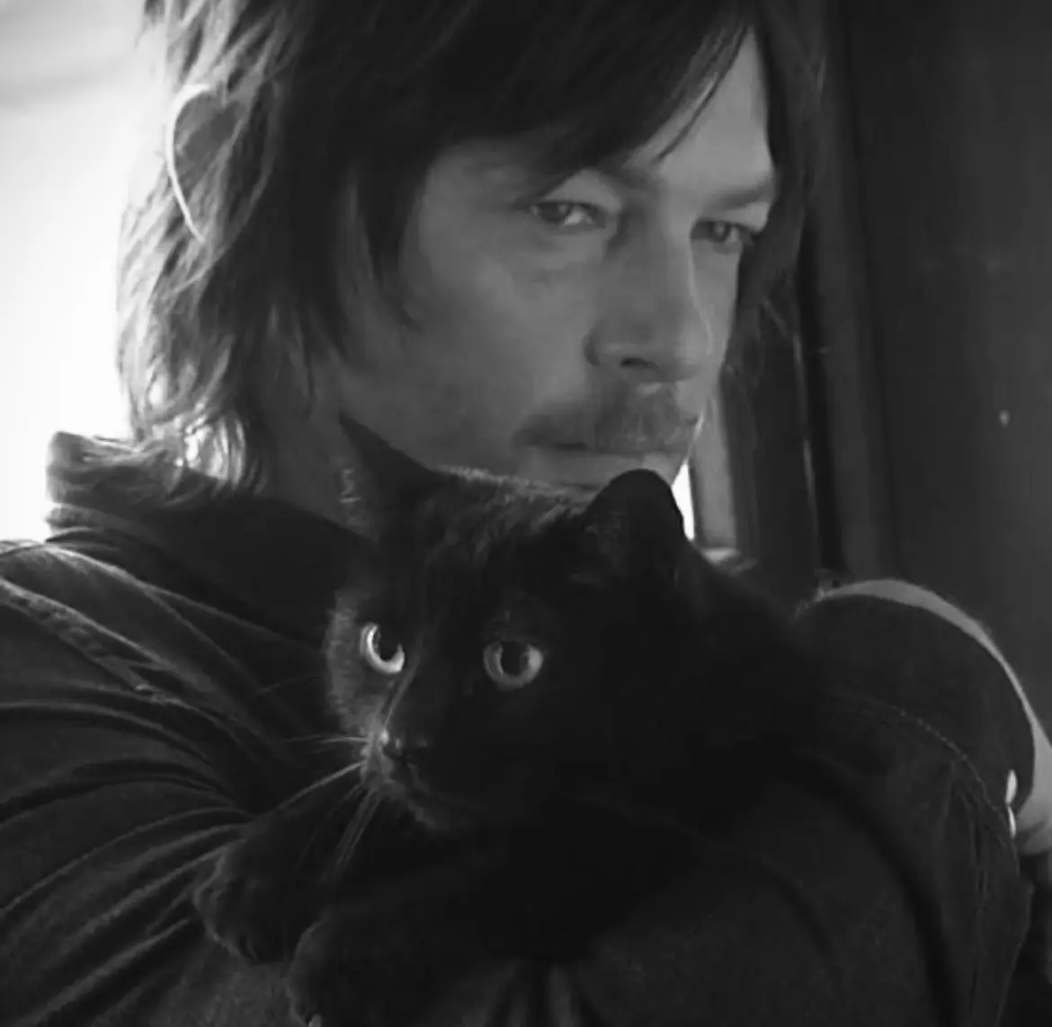 Avatar of Daryl Dixon