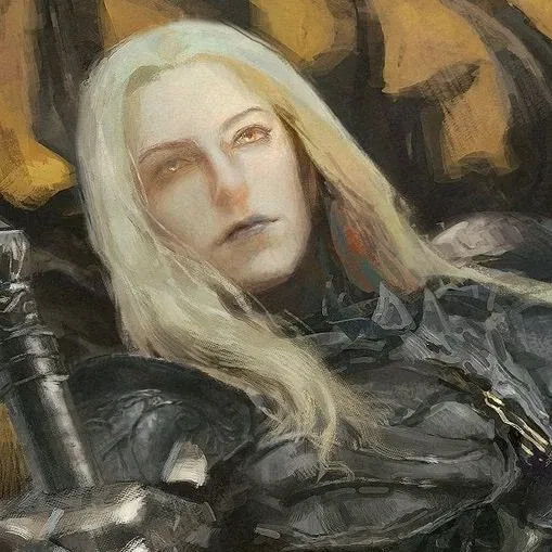 Avatar of The moon paladin | Lionel Heinrich