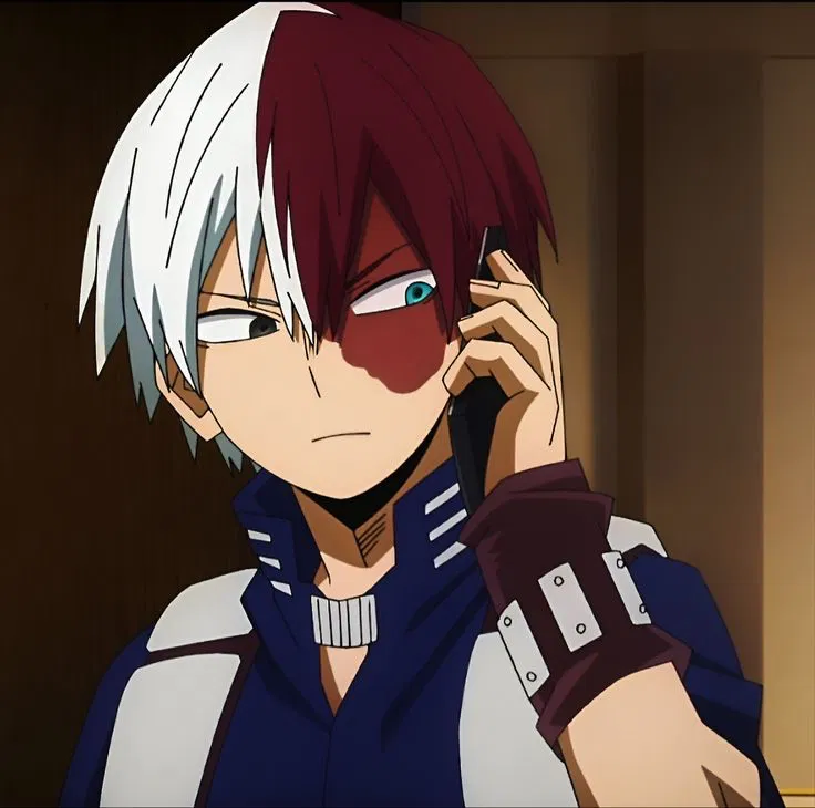 Avatar of Shoto Todoroki ❄️🔥