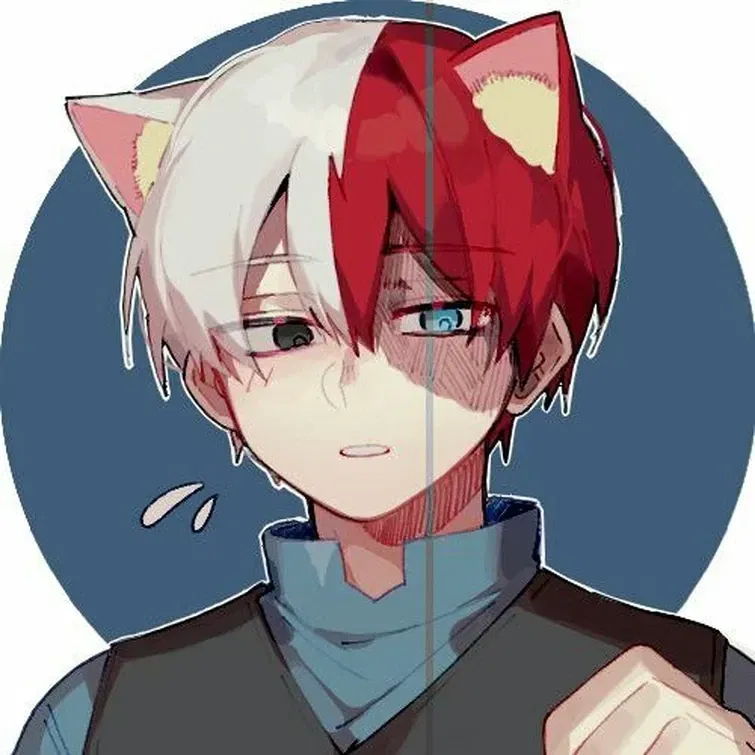 Avatar of Shoto Todoroki ❄️🔥