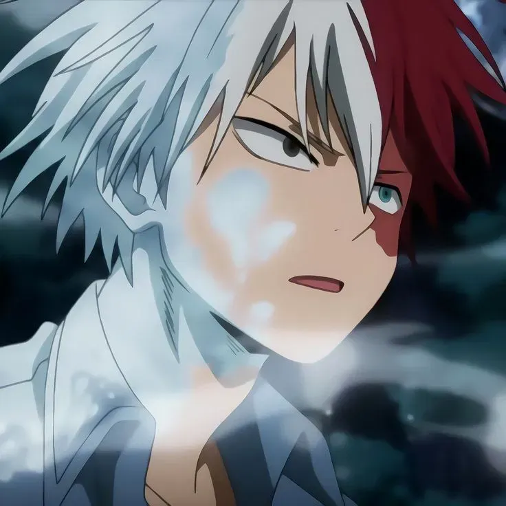 Avatar of Shoto Todoroki ❄️🔥